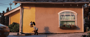 person roller painting the outside of a house