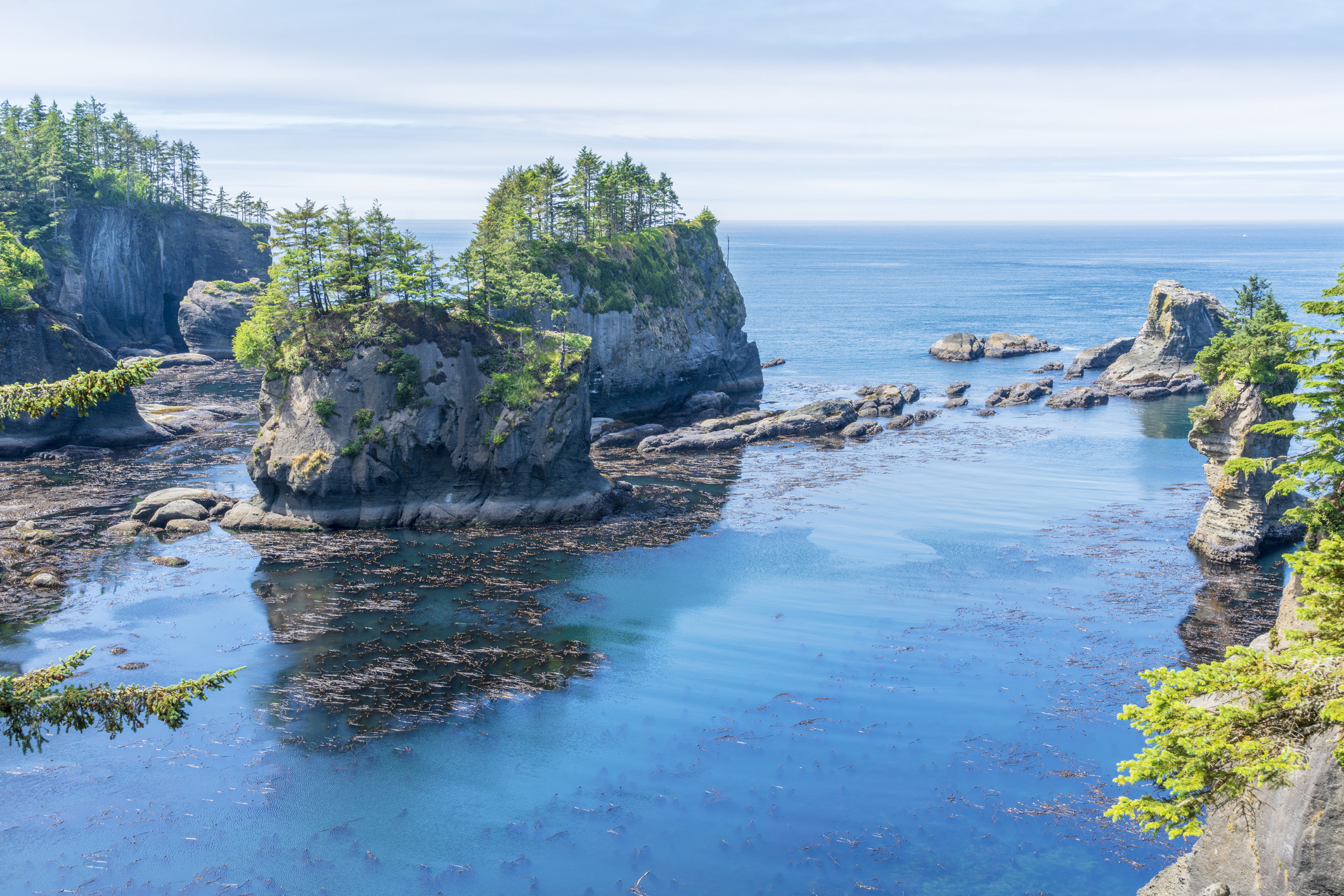 Washington&#x27;s Olympic National Park