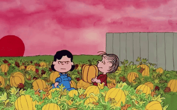 Linus helps Lucy pick out a pumpkin