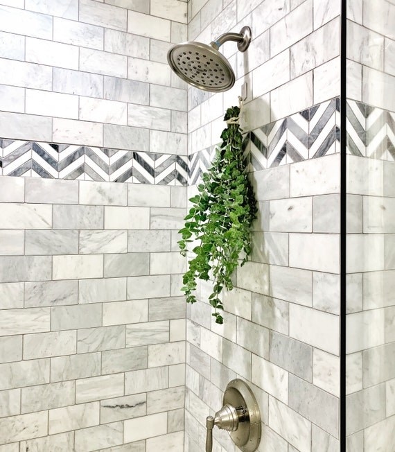 A bundle of eucalyptus hanging from a shower head