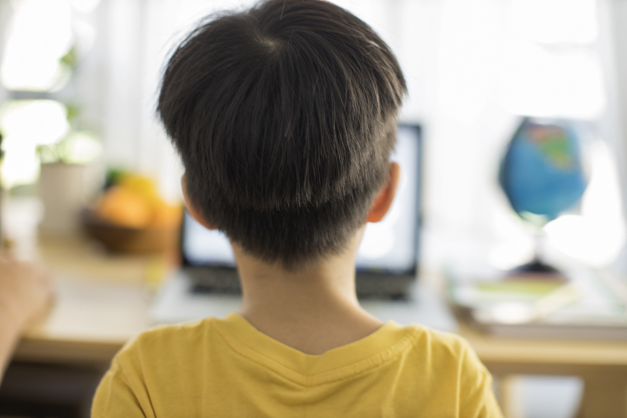 A little boy looking at a computer screen.
