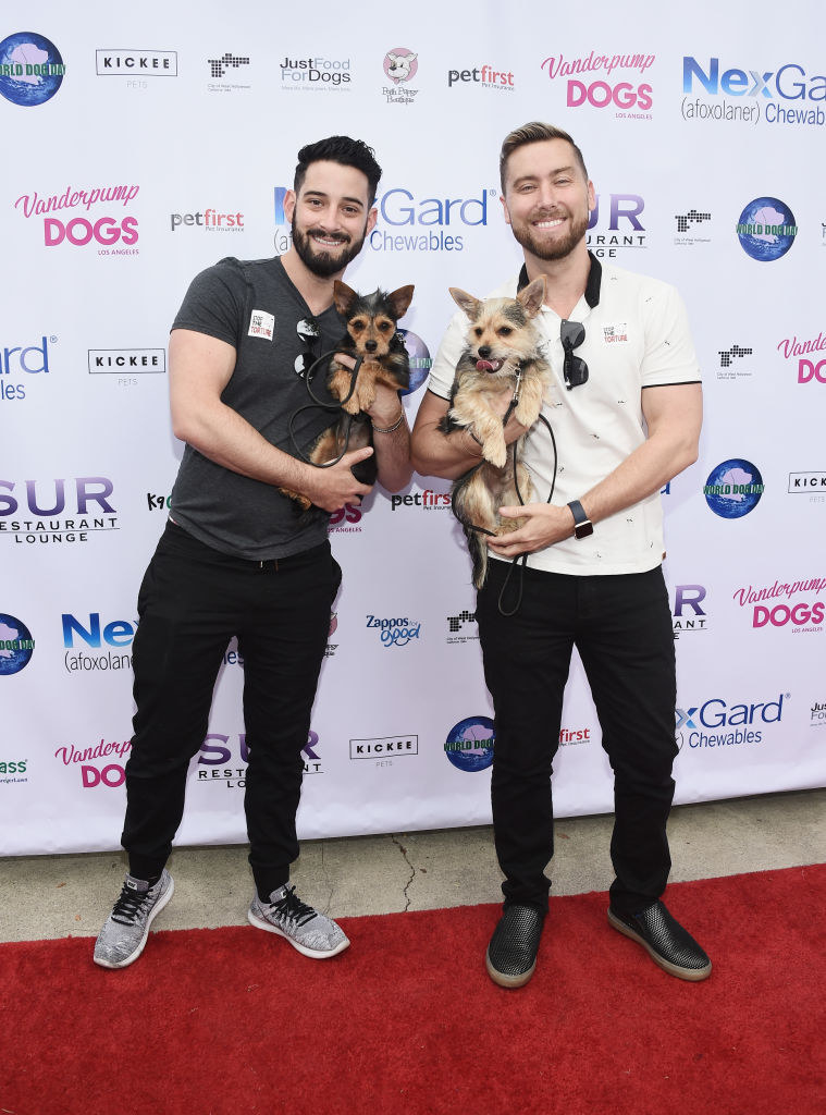 the couple pose on the red carpet with small dogs