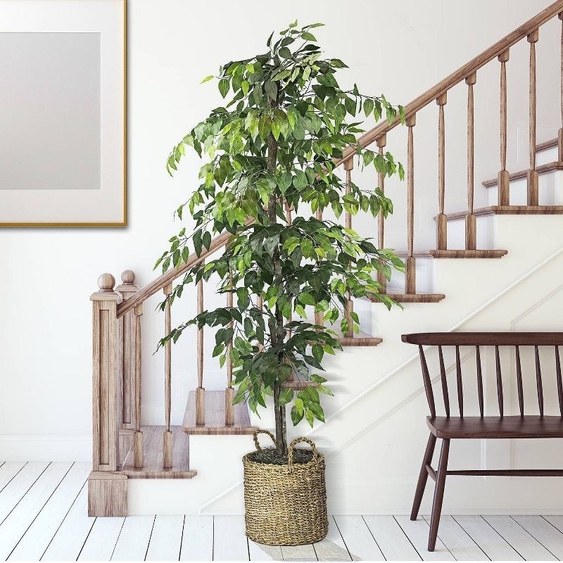 The faux ficus tree