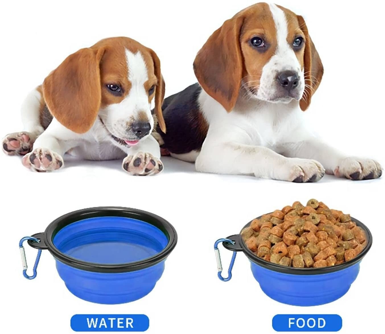 Two dogs in front of bowls of food and water