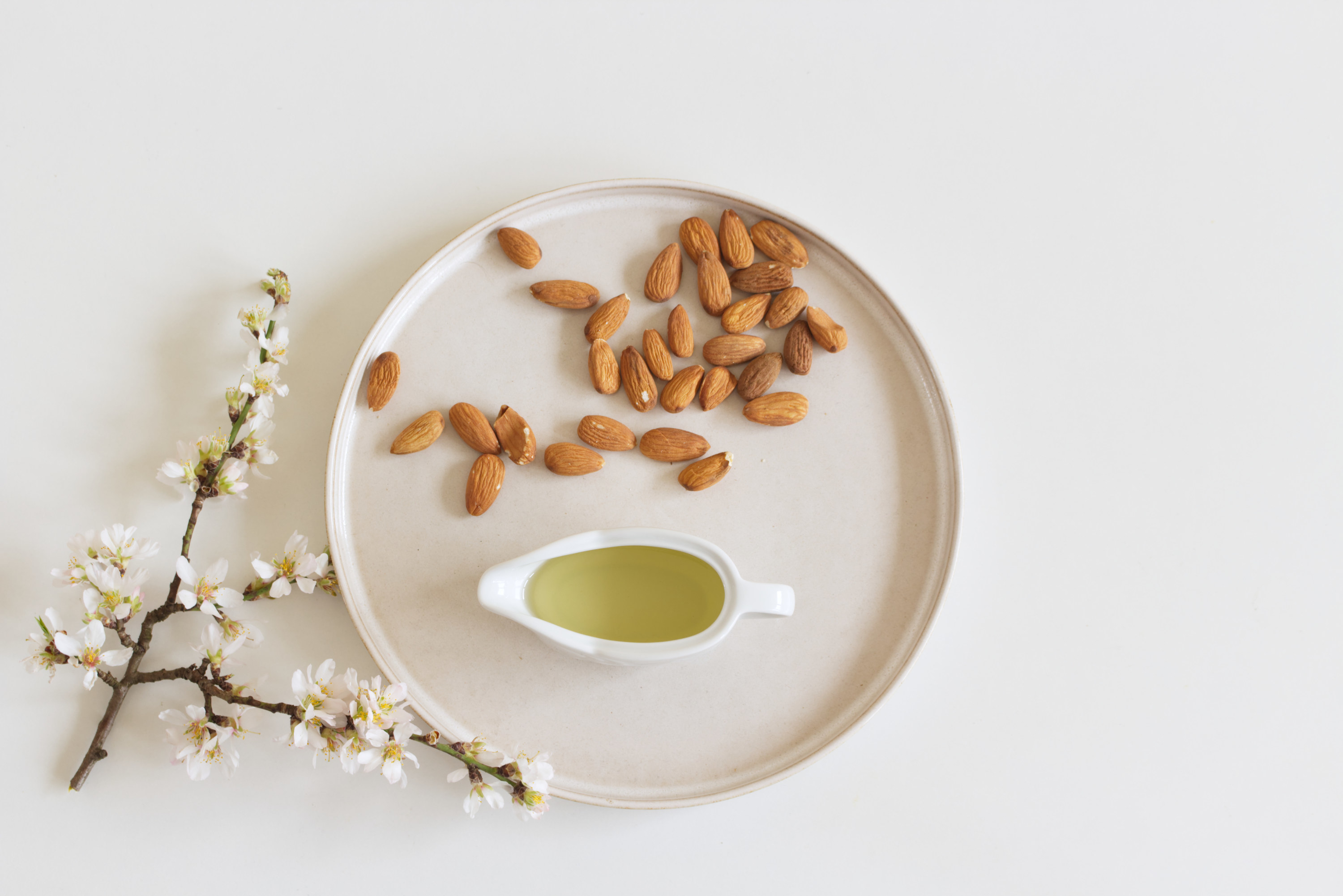 An overview of almonds and oil with a small tree branch