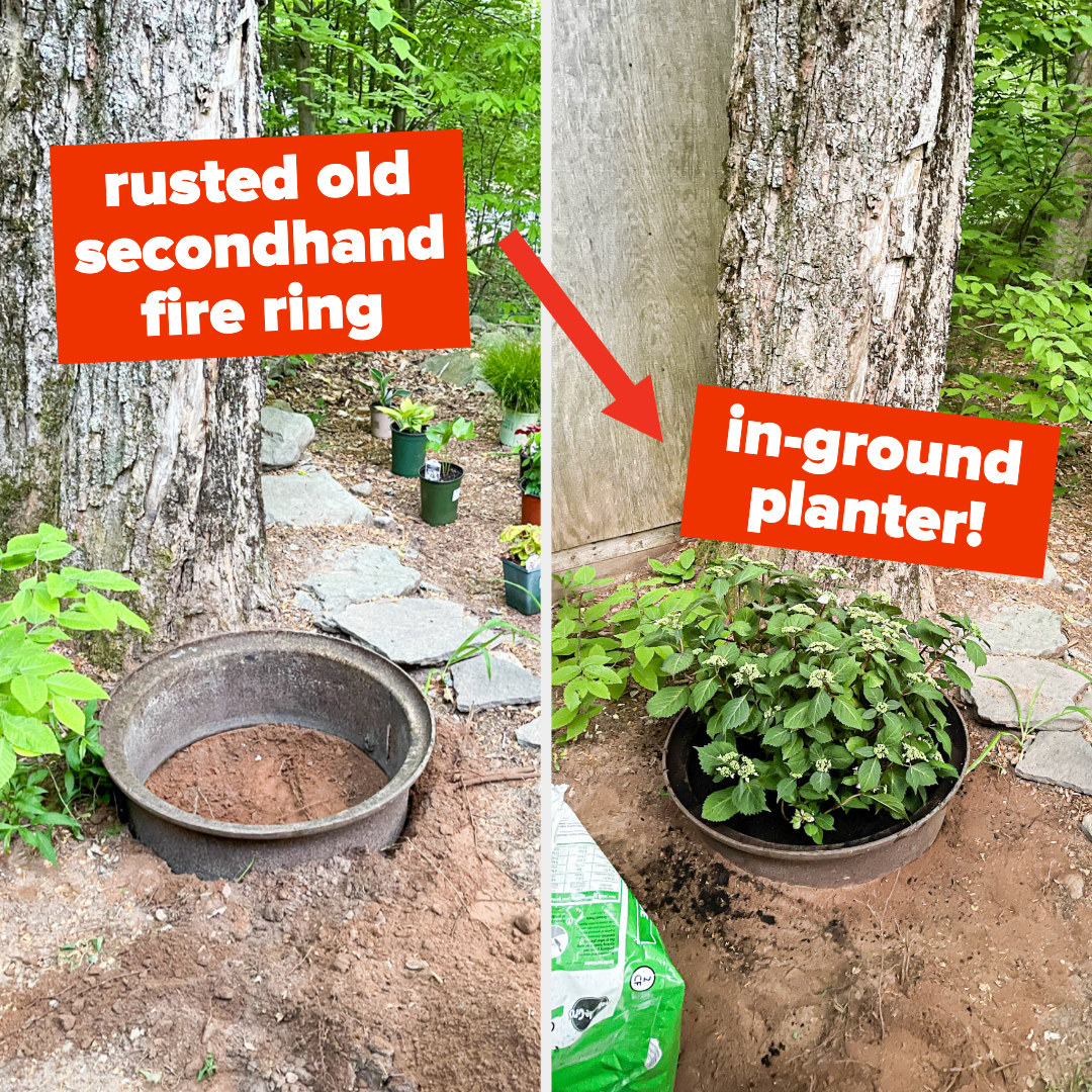 an old rusted fire ring turned into an in-ground planter