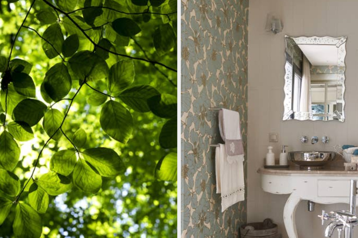 leaves on a tree outside and a bathroom with a branch-like wallpaper