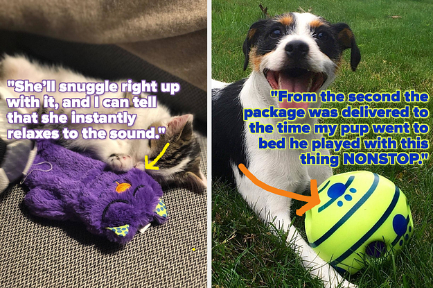 L: cat snuggling with a purple furry purring cat toy R: dog playing with a lime green and blue noise-making ball