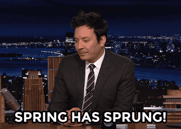 Jimmy Fallon saying &quot;spring has sprung&quot;