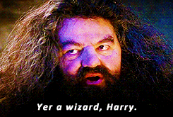 A gif of Hagrid telling Harry that he is a wizard