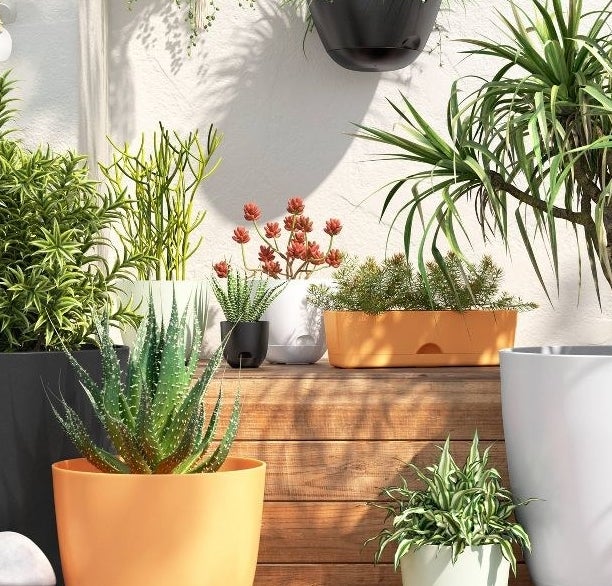 several types of self watering planters