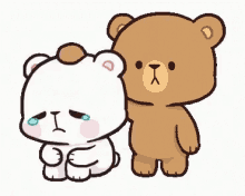 sad crying bear 