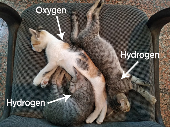 three cats sleeping on a chair, they are labeled &quot;Hydrogen&quot;, &quot;Oxygen&quot;, and &quot;Hydrogen&quot; again