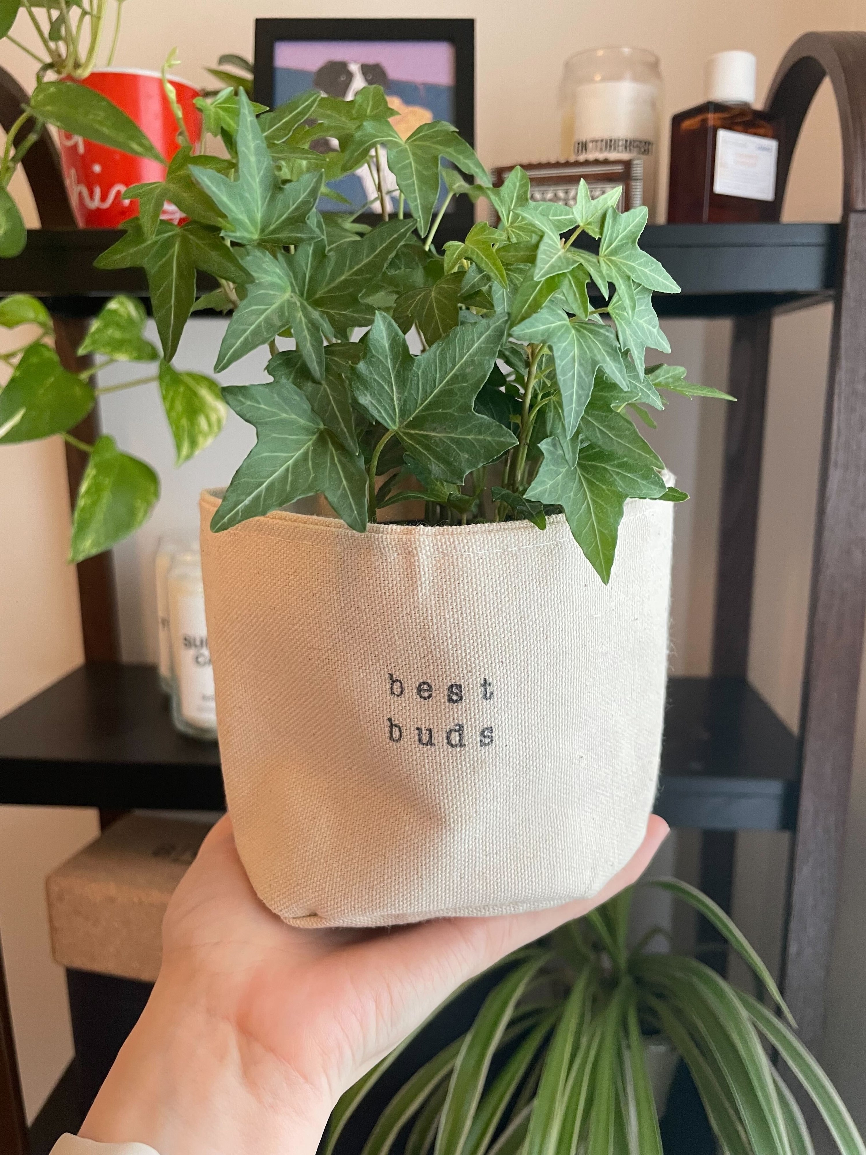 a person holding up the canvas pot cover that says best buds on the front