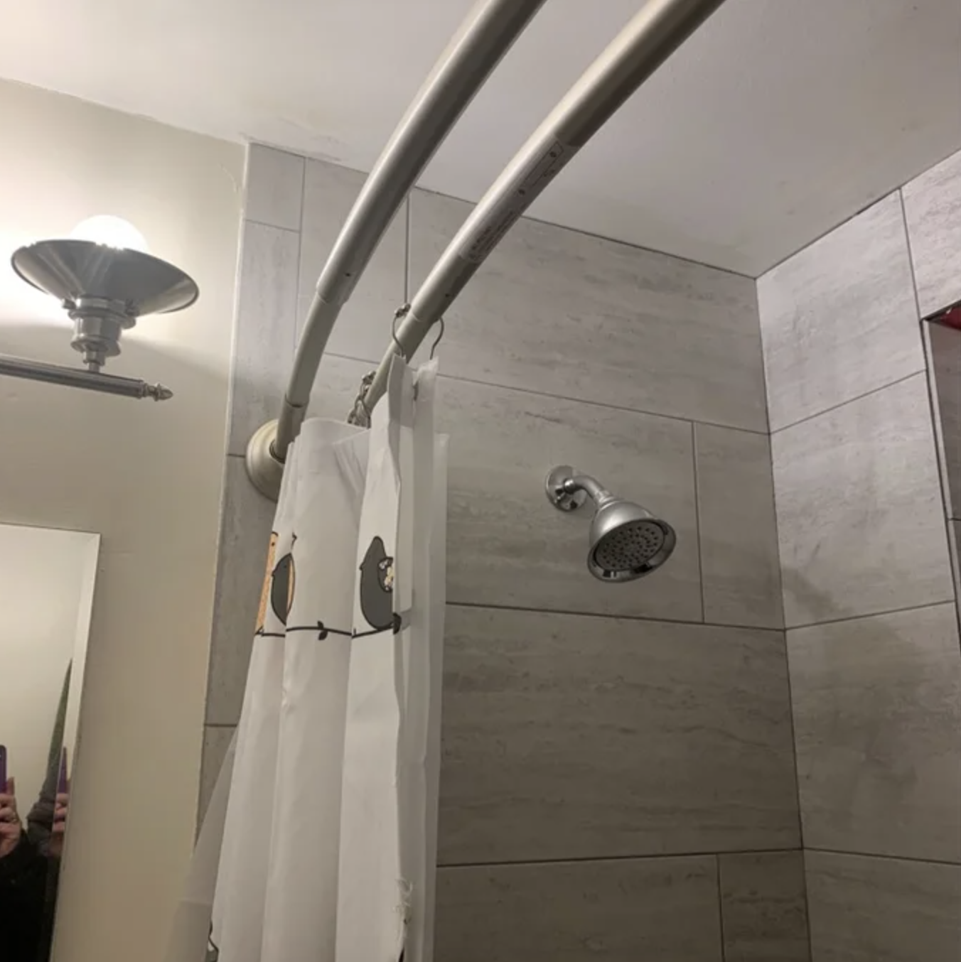 reviewer&#x27;s picture of the curved shower rod in silver