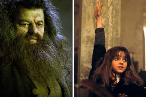 A split image of Hagrid and Hermione.