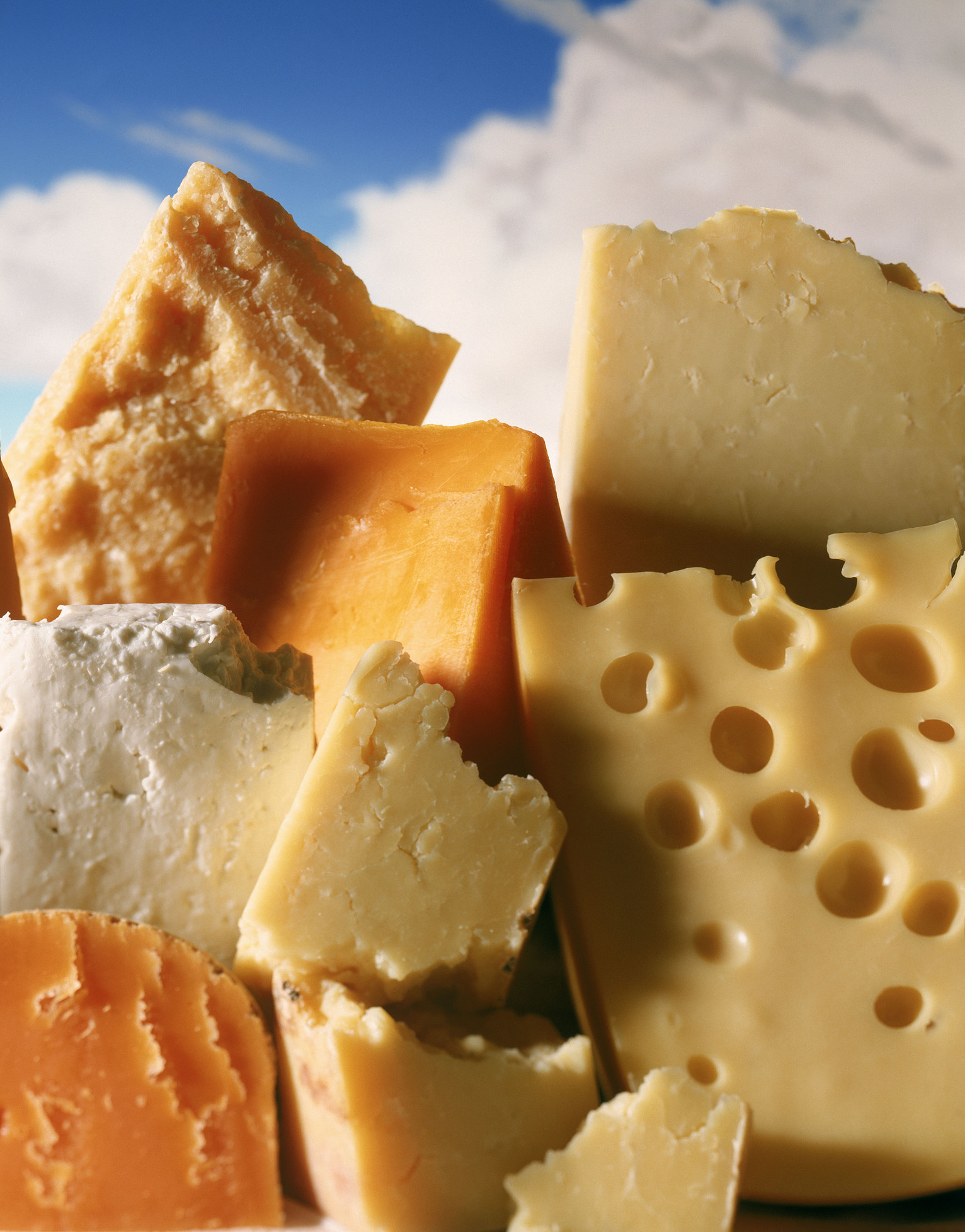 Different types of hard cheeses, including Swiss and Cheddar