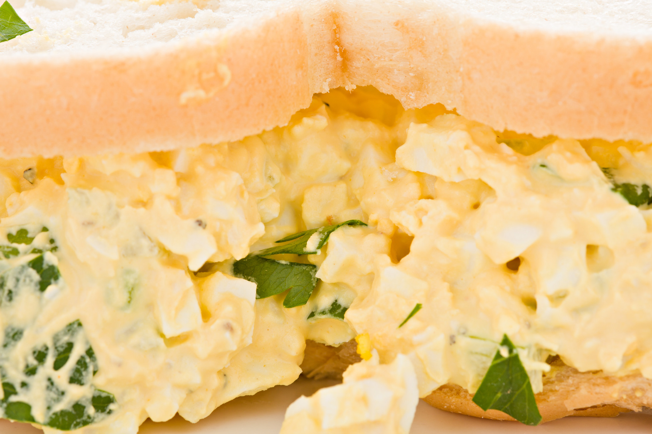 Close-up of an egg salad sandwich