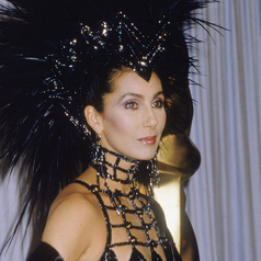 A closeup of Cher's top and feathered headdress