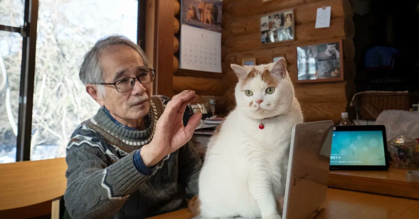 かまってほしいけど なでるのはダメ ツンデレ猫とお父さんの3コマがおもしろすぎる