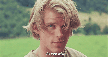 Westley tells Buttercup &#x27;as you wish&#x27;
