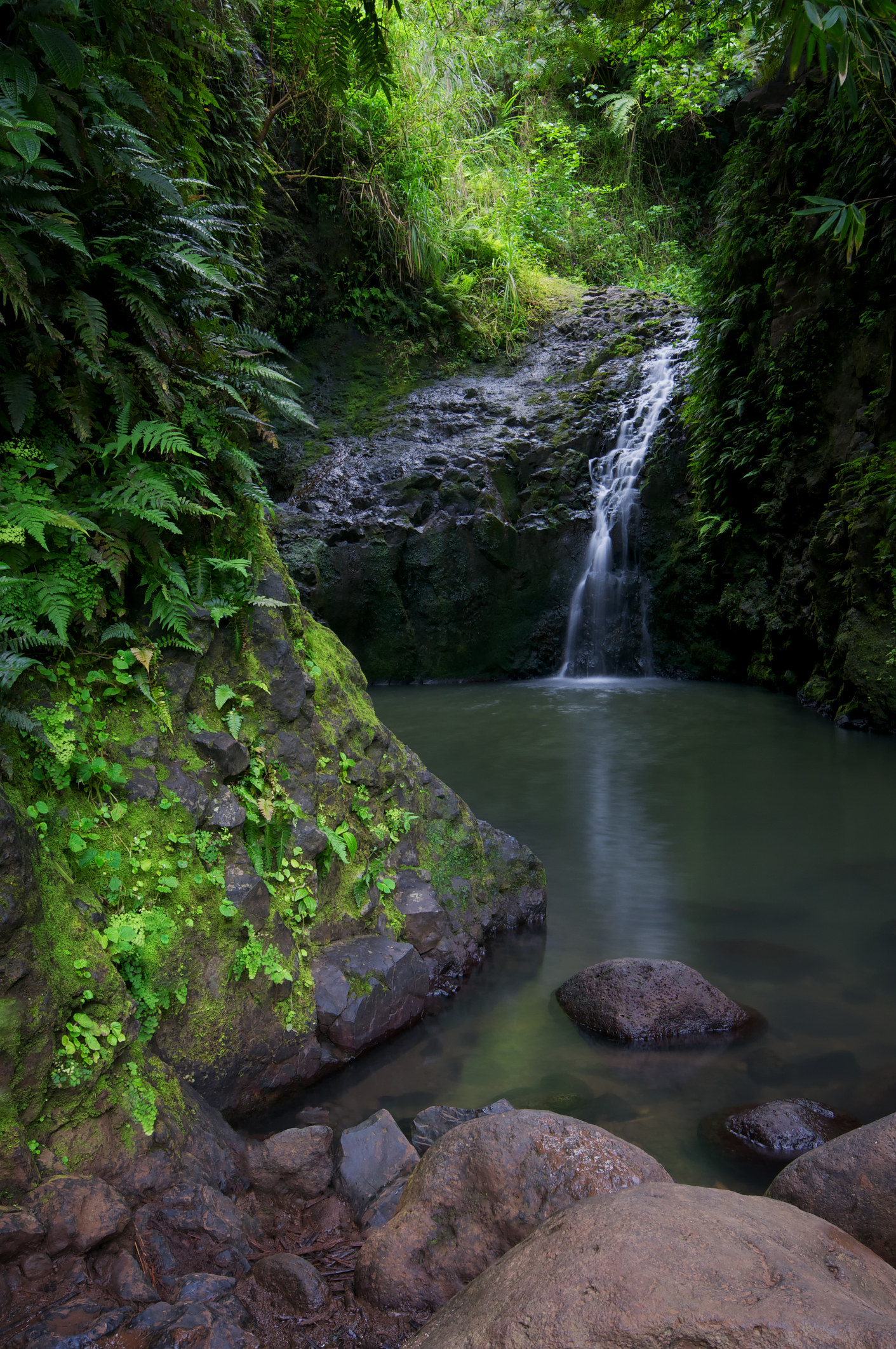 A waterfall surrounded by lush jungle.