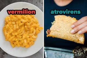 On the left, some mac and cheese labeled vermilion, and on the right, someone holding a crunchy taco labeled atrovirens