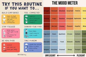 A list of routines, and a mood meter
