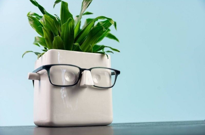 Square plant jar with face that has gold glasses resting on nose and sprouting greenery at the top