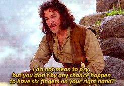 Inigo Montoya asks The Man in Black if he has six fingers on his right hand