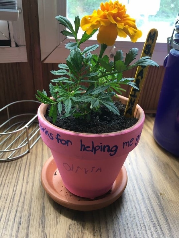 BuzzFeed Community user&#x27;s photo of a pink potted flower that reads &quot;thanks for helping me grow&quot; with the name &quot;Olivia&quot; on it