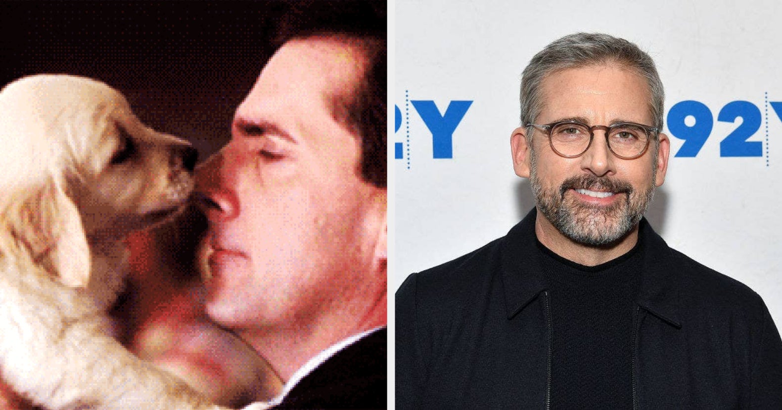 Steve Carell Will Be Answering Your Questions While Playing With Puppies — So What Do You Wanna Know?