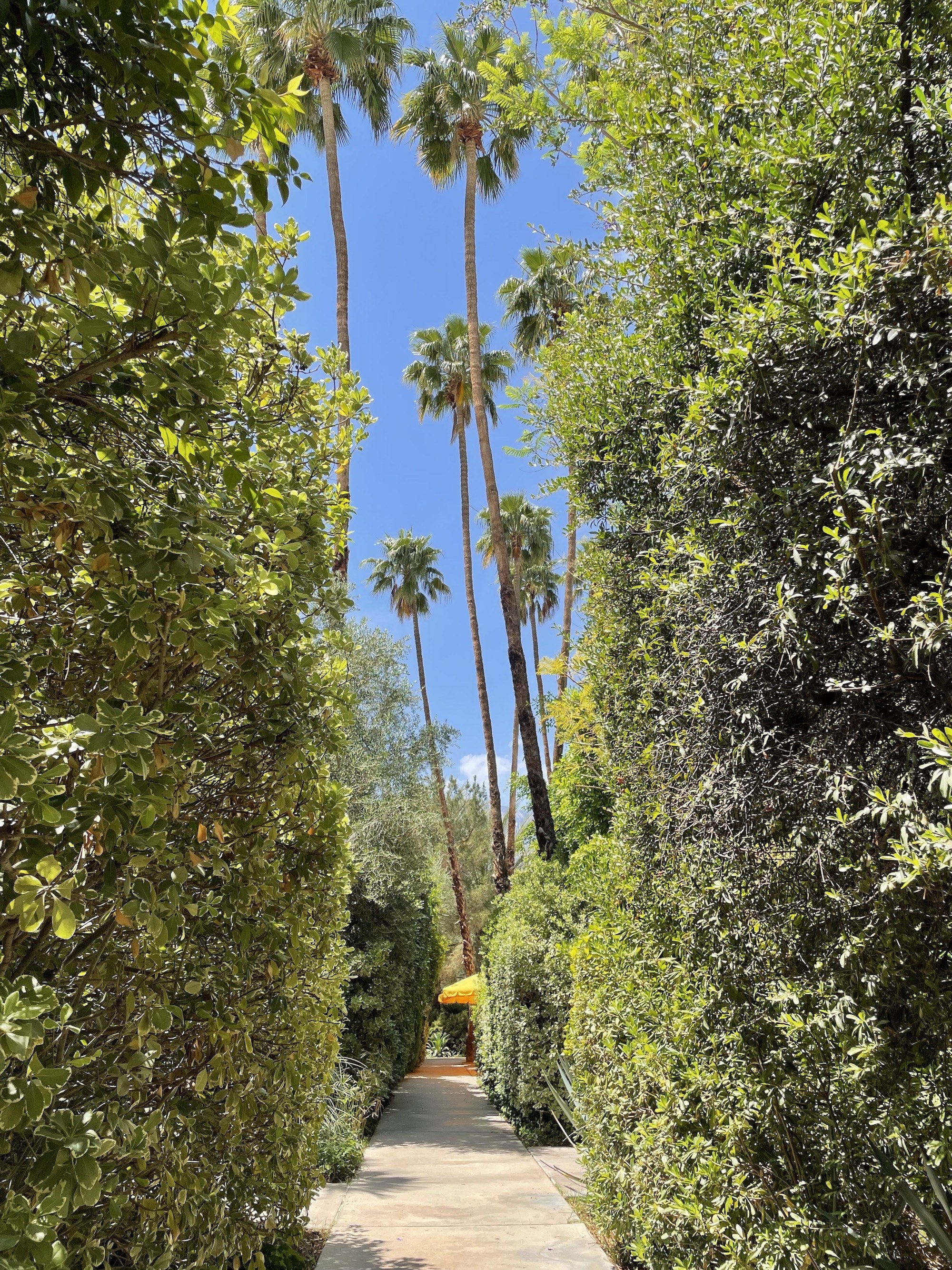 Walkway on Parker&#x27;s grounds