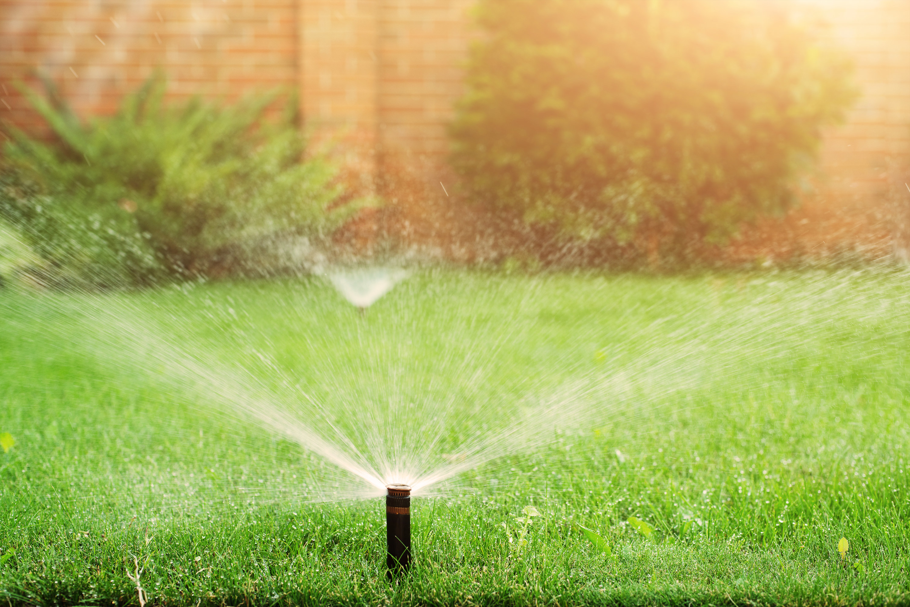 sprinkler spraying water on lawn