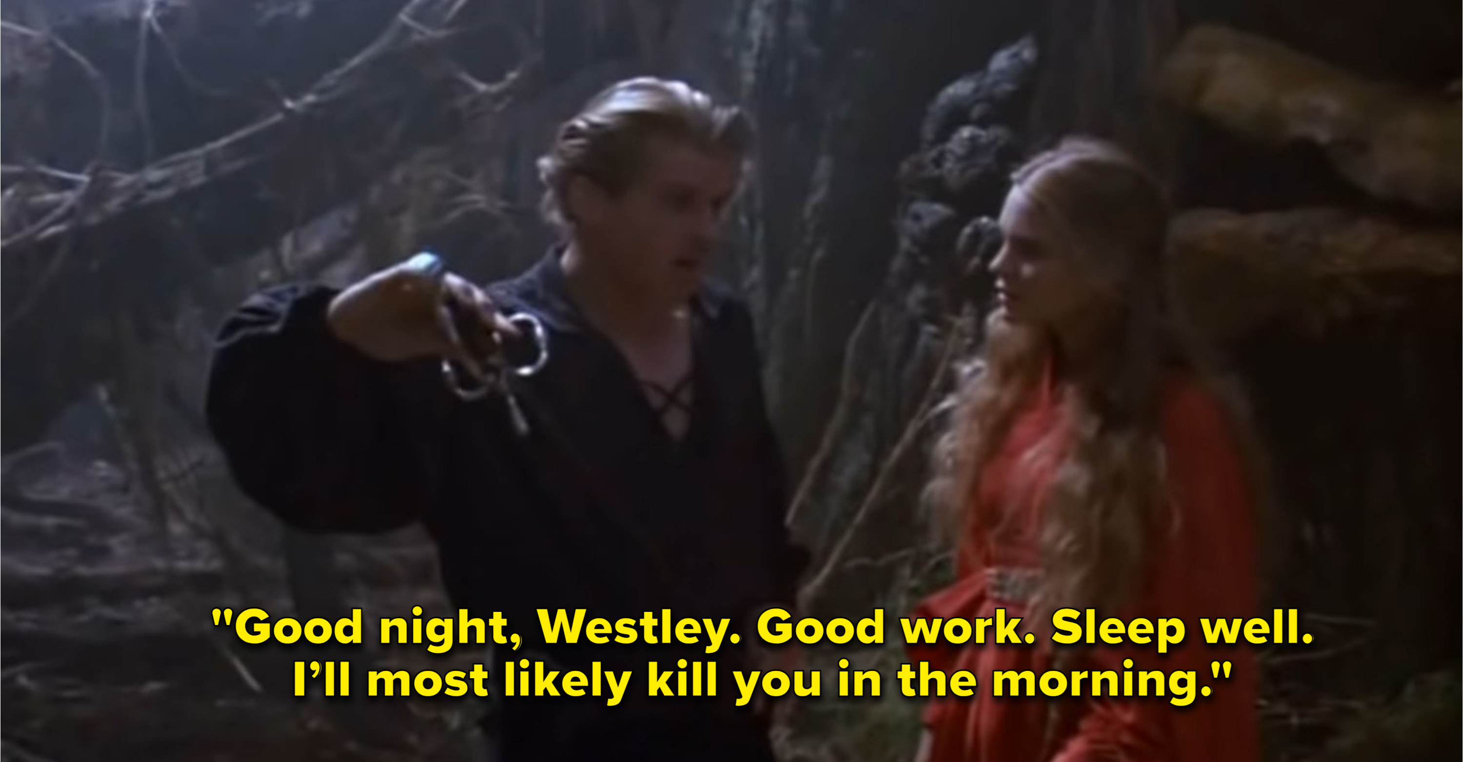 43 Princess Bride Quotes That Are Honestly Timeless 