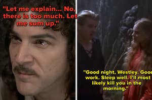 Inigo Montoya explains the situation to Westley, and Westley and Buttercup walk through the fire swamp