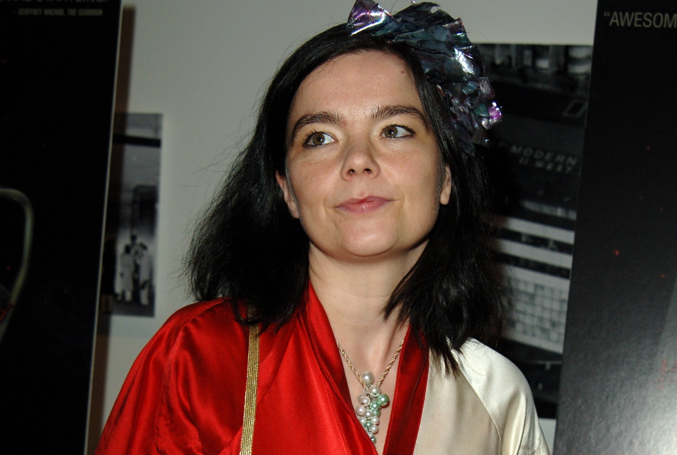 Bjork at an event, dressed in a red and cream dress