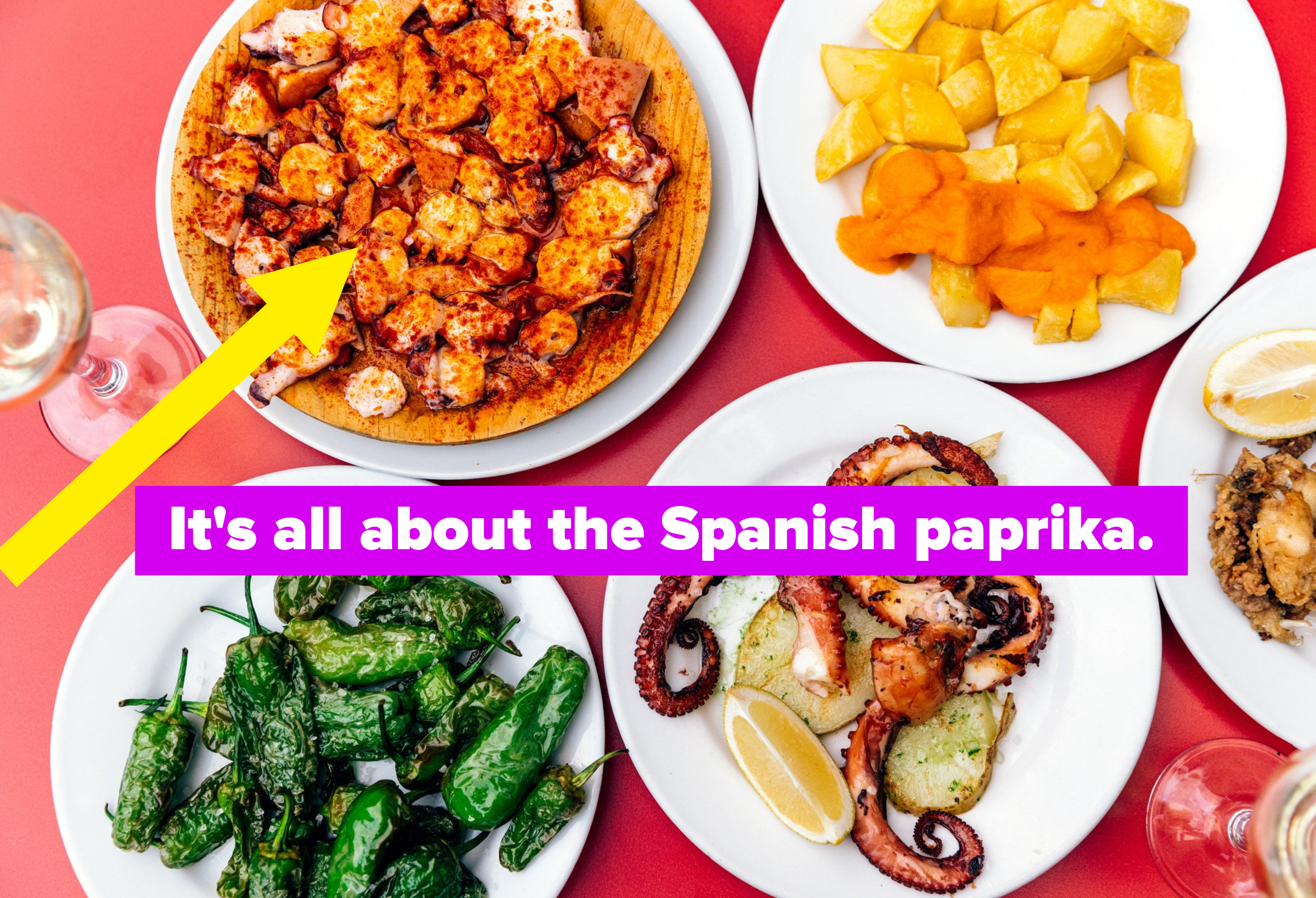 Plates of tapas — padron peppers, octopus, and potatoes