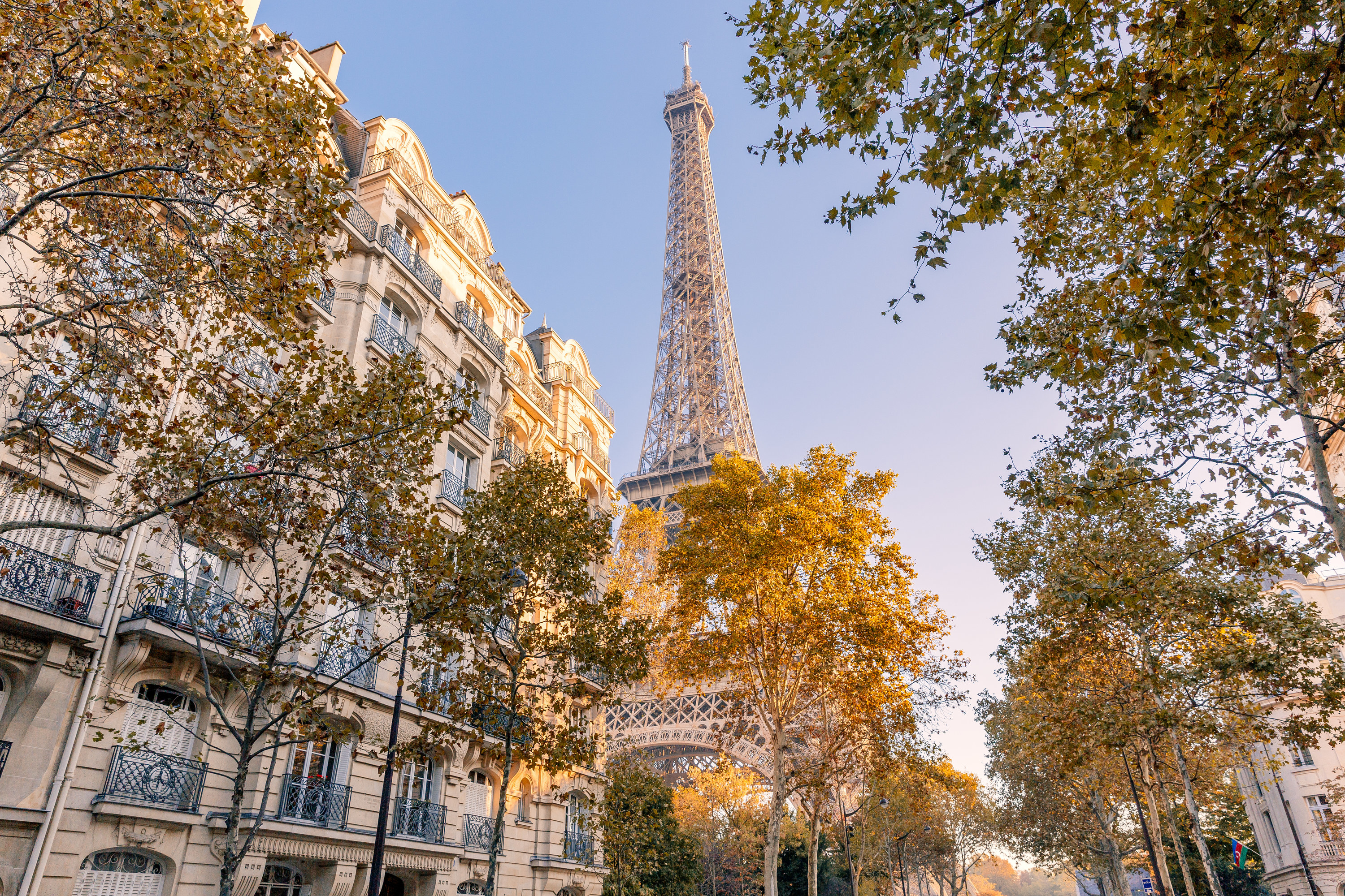 A street in Paris with trees surrounding it with a view of the Eiffel Tower in the background