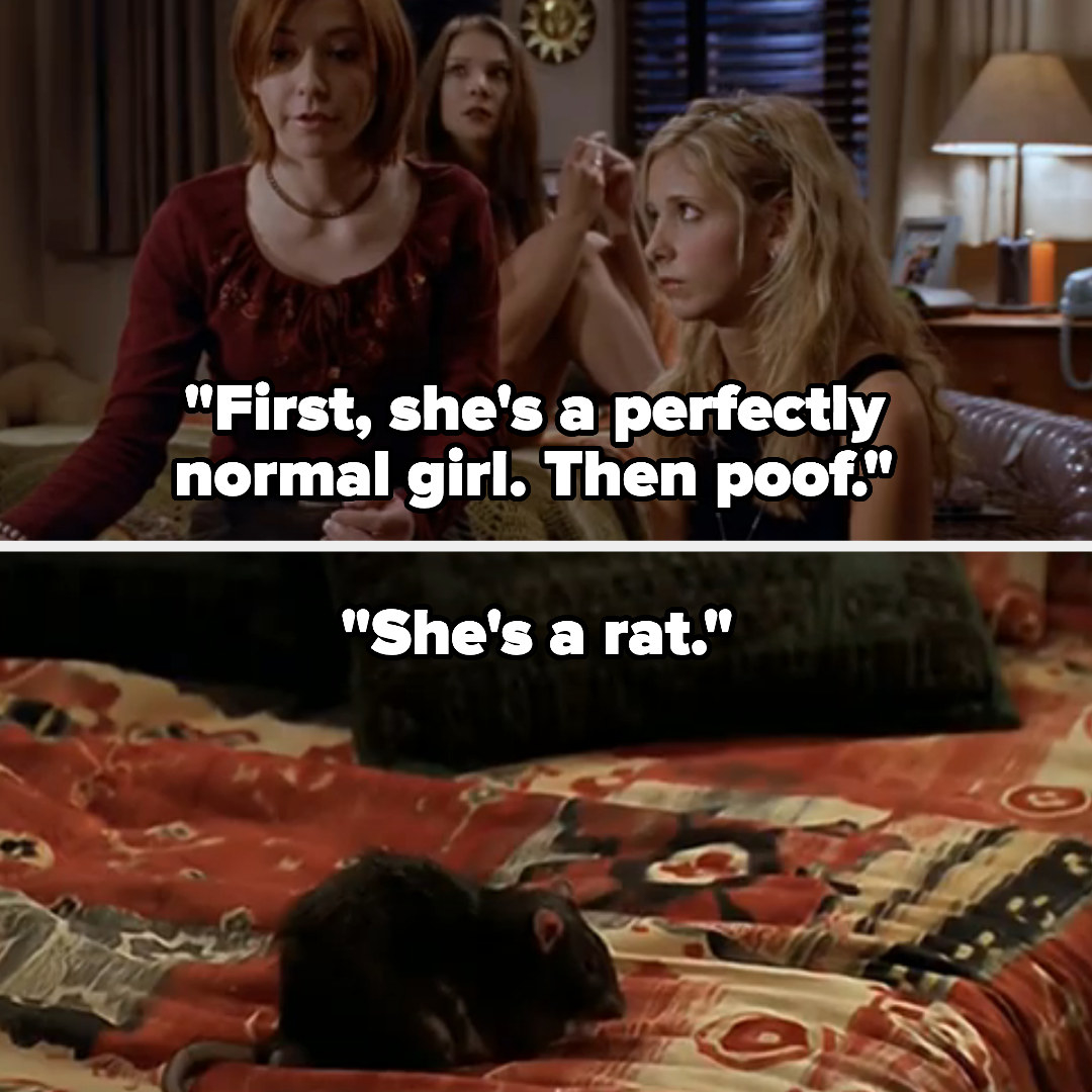 Willow says &quot;first, she&#x27;s a perfectly normal girl, then poof, she&#x27;s a rat&quot; and amy turns human then back into a rat