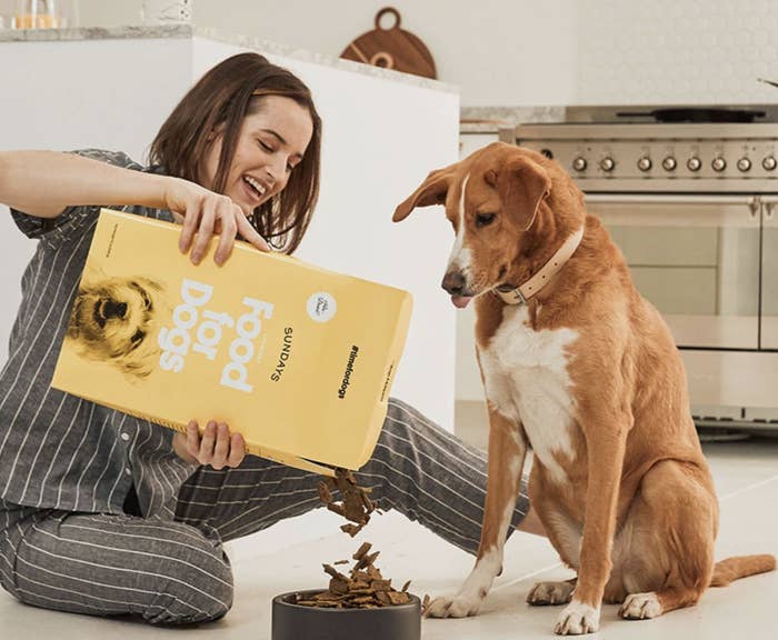 model pouring beef dog food into bowl for dog