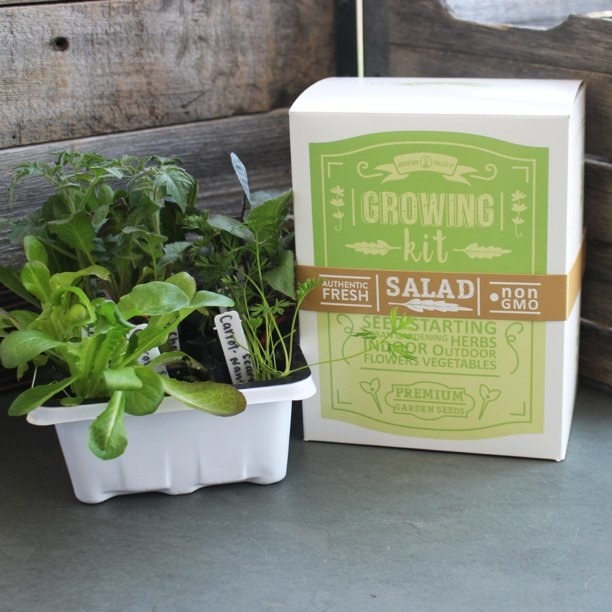 the growing kit in the box next to a tray of sprouted vegetables