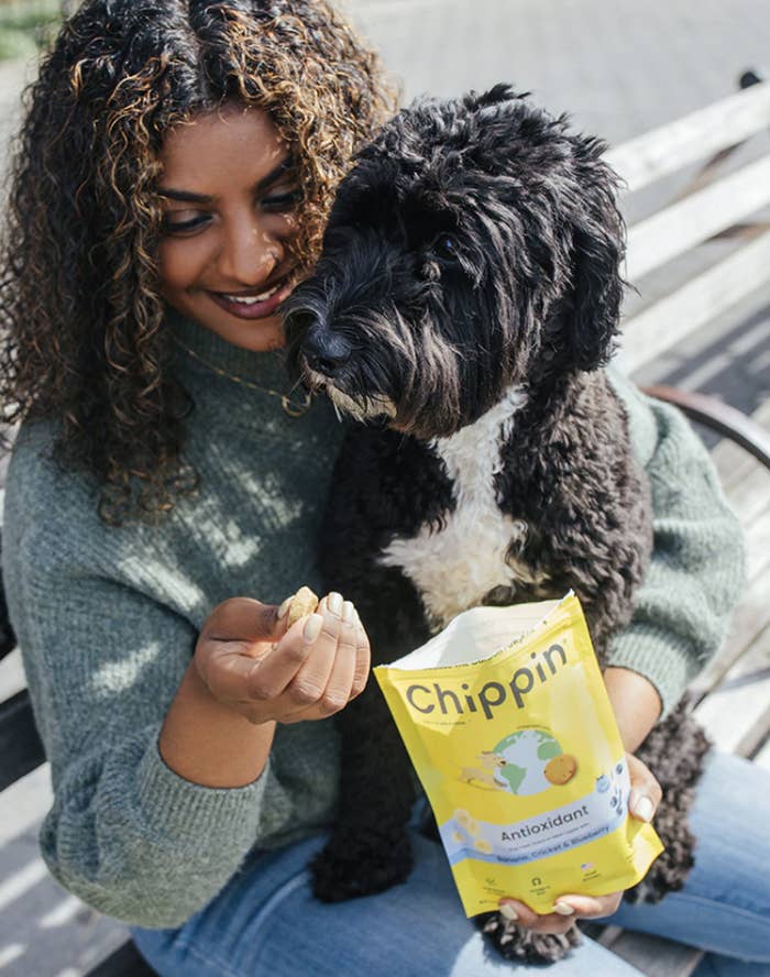 model feeding treats to a dog that&#x27;s sitting on their lap