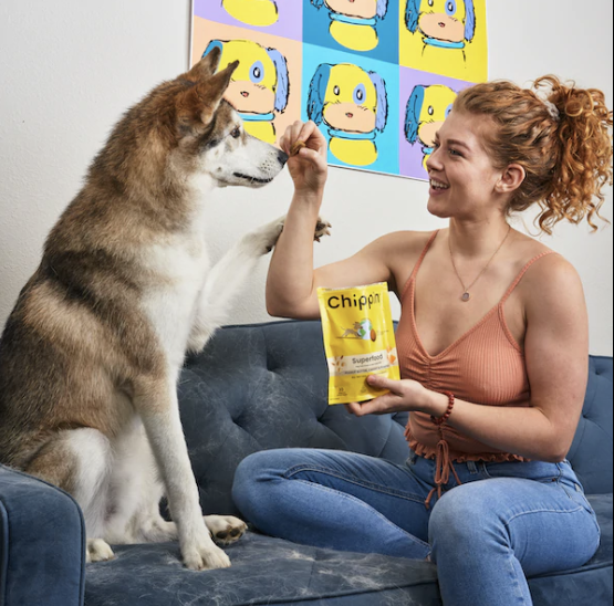 model feeding a treat to a dog while the dog has its paw on their arm