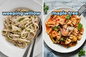 On the left, some chicken Alfredo labeled weeping willow, and on the right, some farfalle with tomato sauce labeled maple tree 