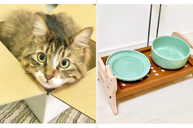 猫のごはん置き場のインテリア実例！猫にも人にもやさしい環境を作りました。