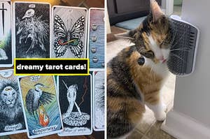 on the left tarot cards; on the right a cat using a self-groomer
