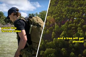 Jack Harries and a wide aerial shot of people walking through a small forest, text reads, "watch this Tentree video and a tree will get planted"