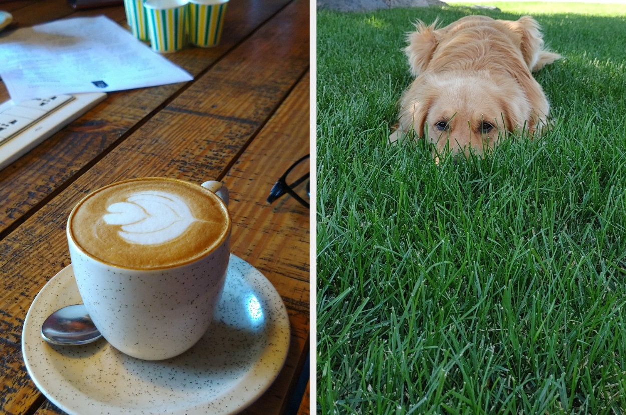 Left: A cup of coffee sits on a table Right: A dog lays in the grass