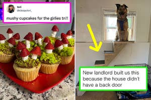"Mushroom" cupcakes, and stairs for a dog